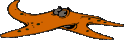 Sternclindoeil